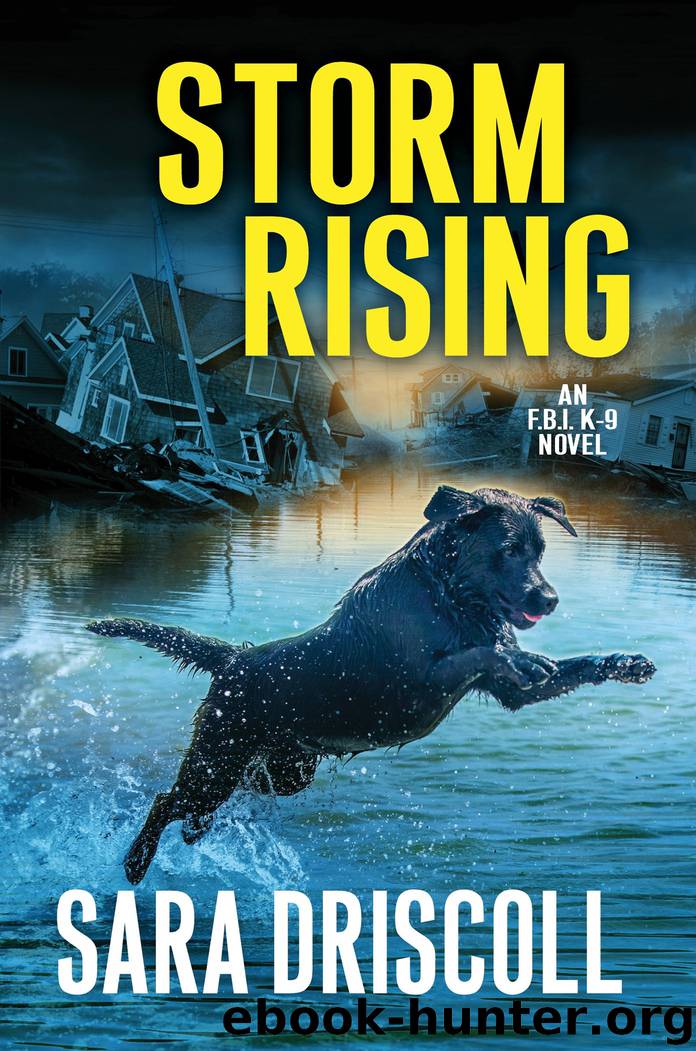 Storm Rising by Sara Driscoll