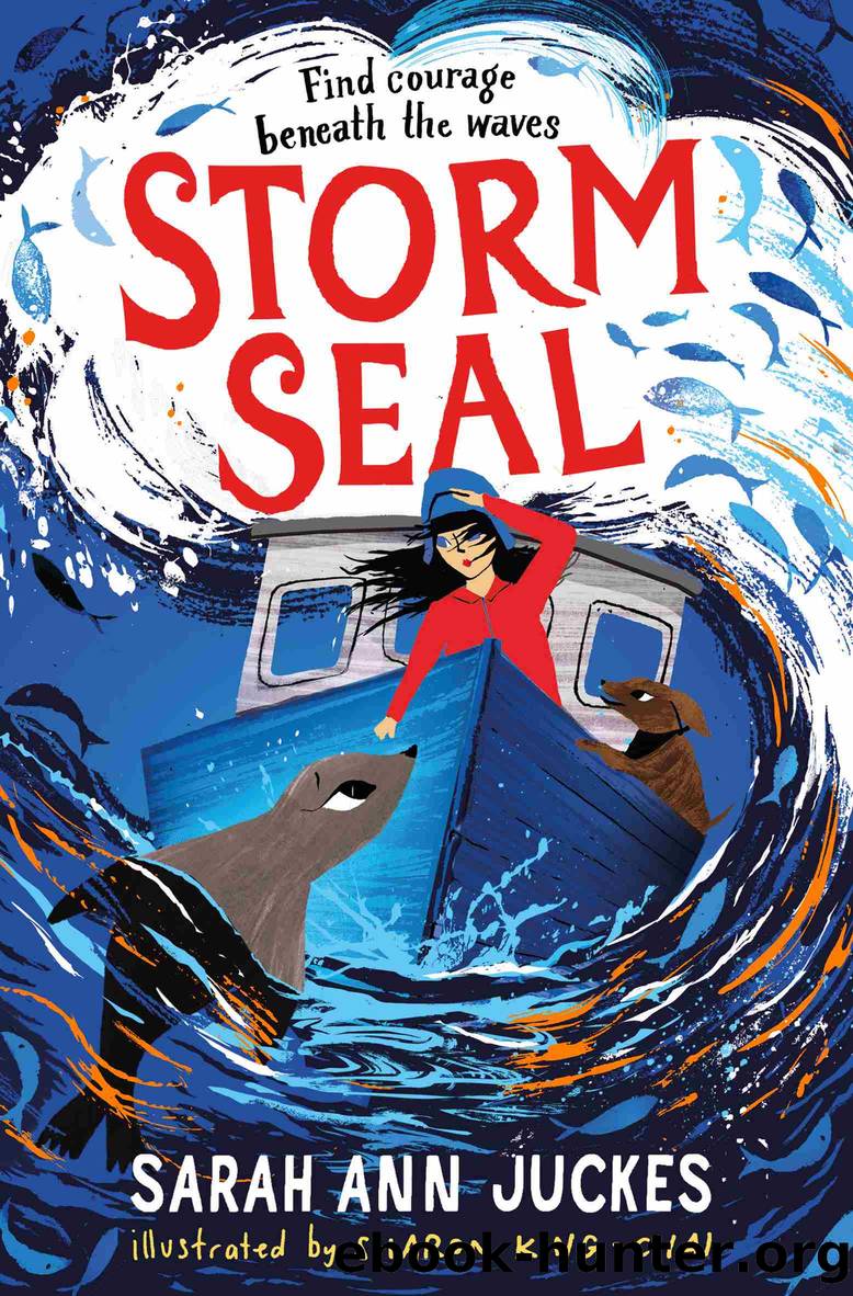 Storm Seal by Sarah Ann Juckes