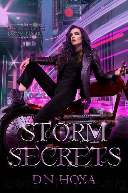 Storm Secrets by D.N. Hoxa
