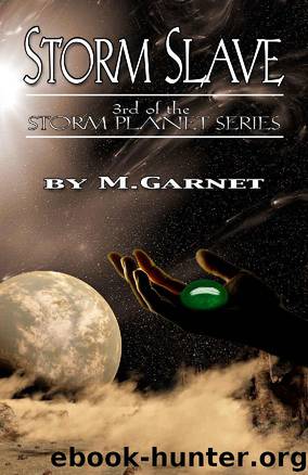 Storm Slave by M. Garnet
