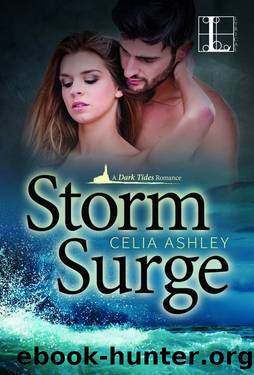 Storm Surge (A Dark Tides Romance) by Celia Ashley
