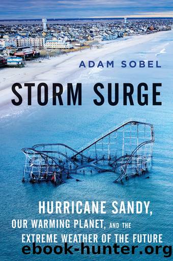 Storm Surge by Adam Sobel