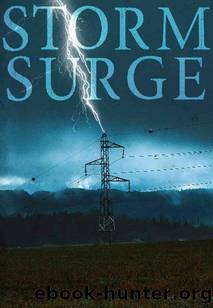 Storm Surge by Donovan J.S