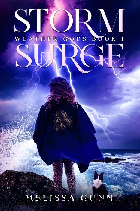 Storm Surge by Melissa Gunn