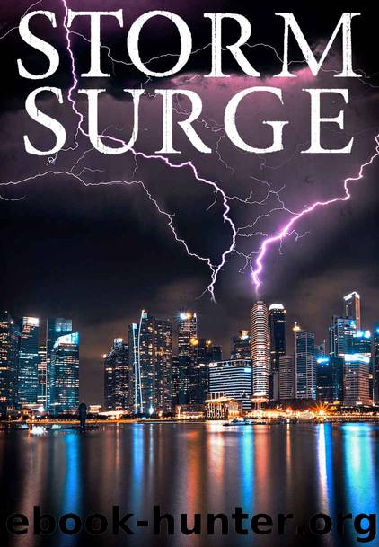 Storm Surge: EMP Survival in a Powerless World by J.S Donovan