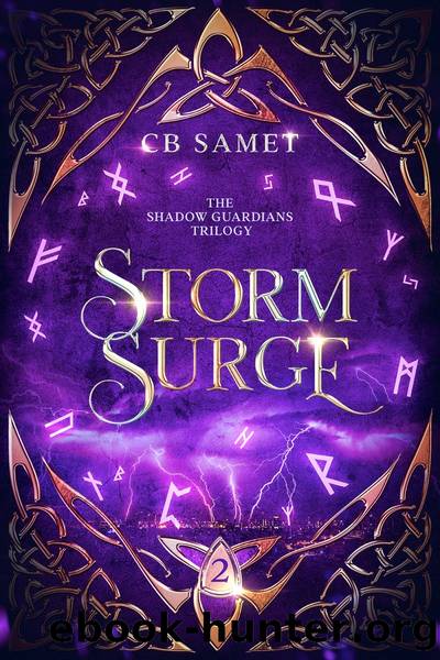 Storm Surge: the Shadow Guardians, Book 2 by CB Samet