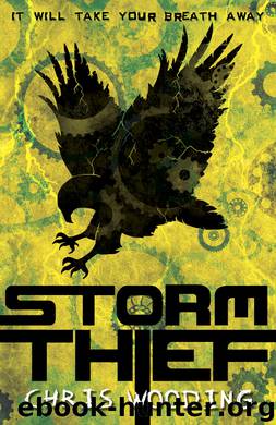 Storm Thief by Chris Wooding