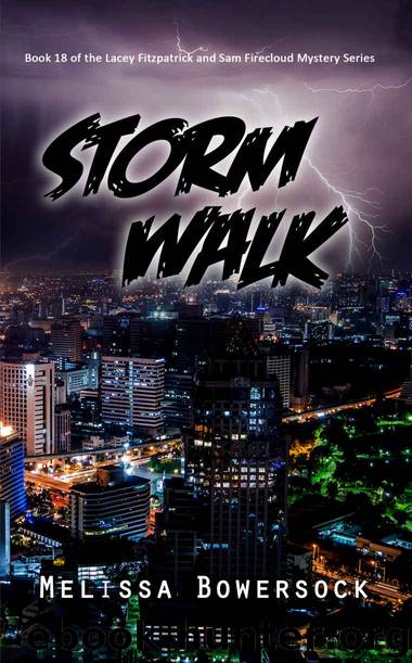 Storm Walk by Melissa Bowersock