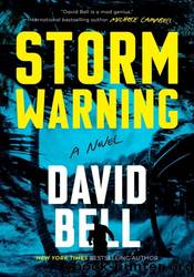 Storm Warning by David Bell