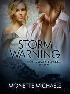 Storm Warning by Michaels Monette