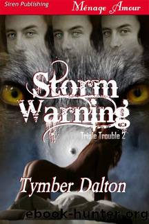 Storm Warning by Storm Warning