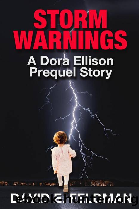 Storm Warnings (Dora Ellison Mystery Series, #0.5) by David E. Feldman