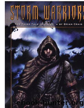 Storm Warriors by Brian Craig