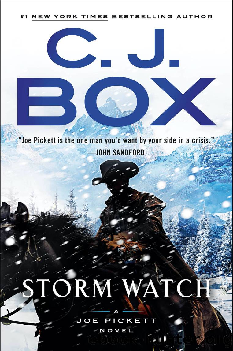 Storm Watch by C. J. Box