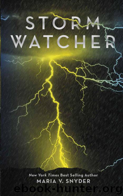 Storm Watcher by Snyder Maria V