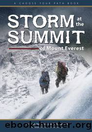Storm at the Summit of Mount Everest by Ryan Jacobson