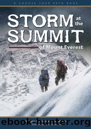 Storm at the Summit of Mount Everest: A Choose Your Path Book by Ryan Jacobson & Deb Mercier
