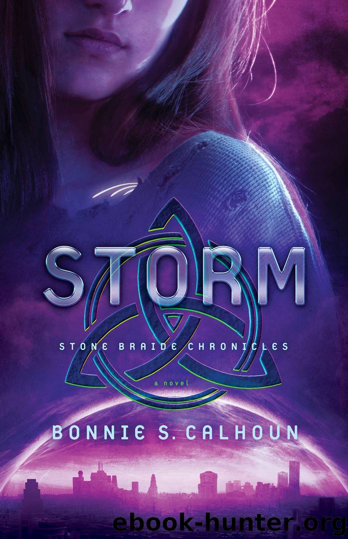 Storm by Bonnie S. Calhoun