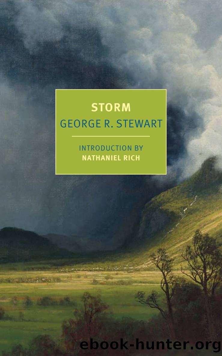 Storm by George R. Stewart