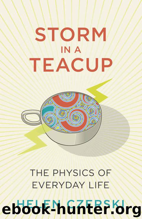 Storm in a Teacup: The Physics of Everyday Life by Helen Czerski