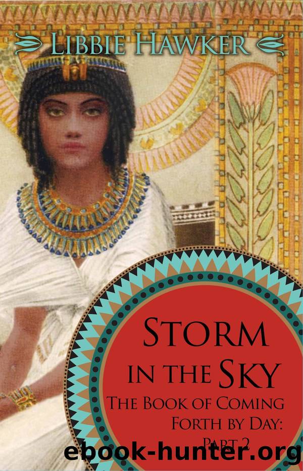 Storm in the Sky by Libbie Hawker