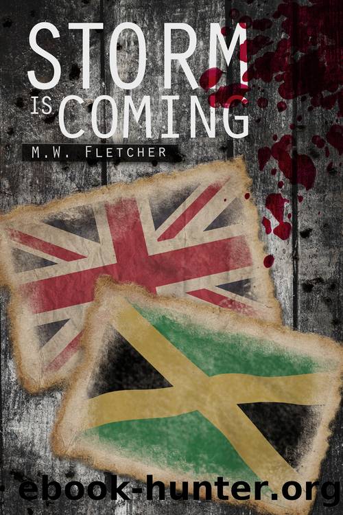 Storm is Coming by M.W. Fletcher