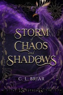 Storm of Chaos and Shadows by C.L. Briar