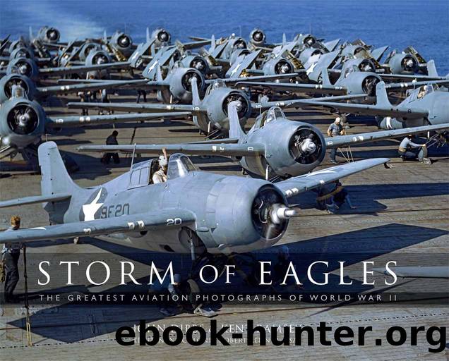 Storm of Eagles by John Dibbs