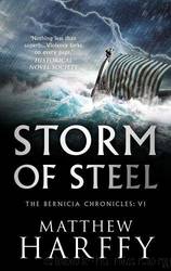 Storm of Steel (The Bernicia Chronicles #06) by Harffy Matthew