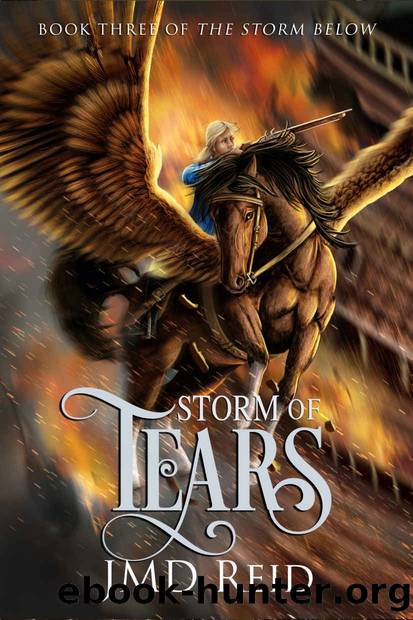 Storm of Tears (Book Three of the Storm Below) by JMD Reid
