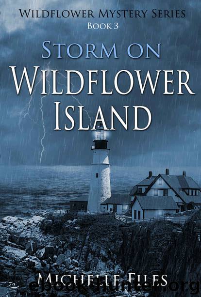 Storm on Wildflower Island by Michelle Files