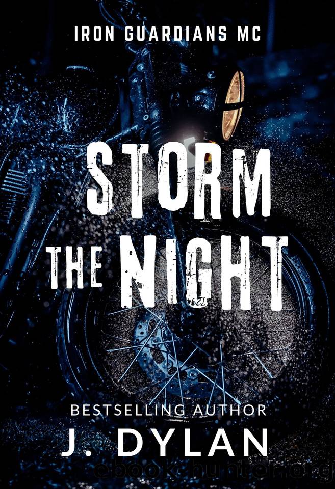 Storm the Night: An Iron Guardians MC Romance Novella by J. Dylan