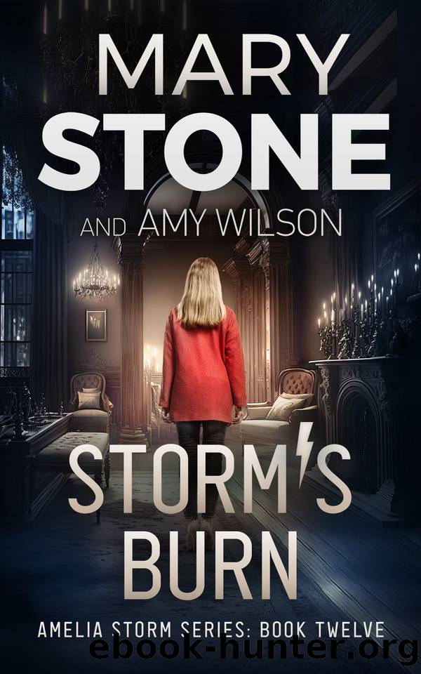 Storm's Burn (Amelia Storm FBI Mystery Series Book 12) by Mary Stone