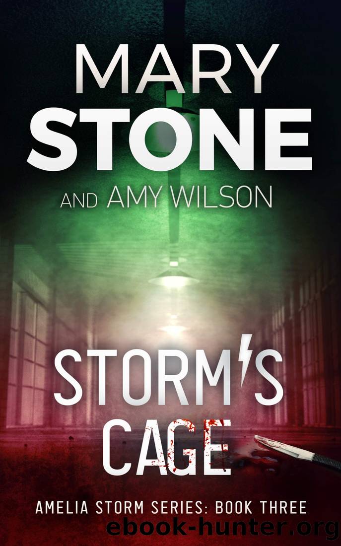 Storm's Cage by Stone Mary & Wilson Amy