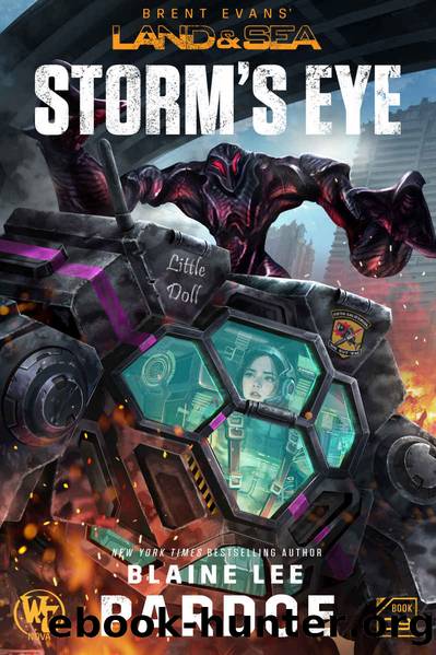 Storm's Eye by Blaine L. Pardoe
