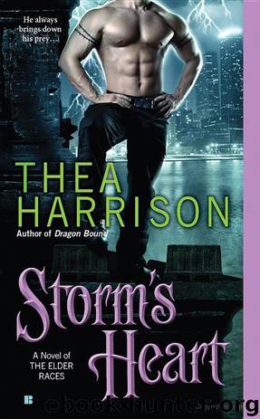 Storm's Heart by Thea Harrison