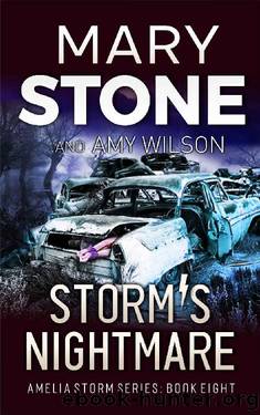 Storm's Nightmare (Amelia Storm FBI Mystery Series Book 8) by Mary Stone