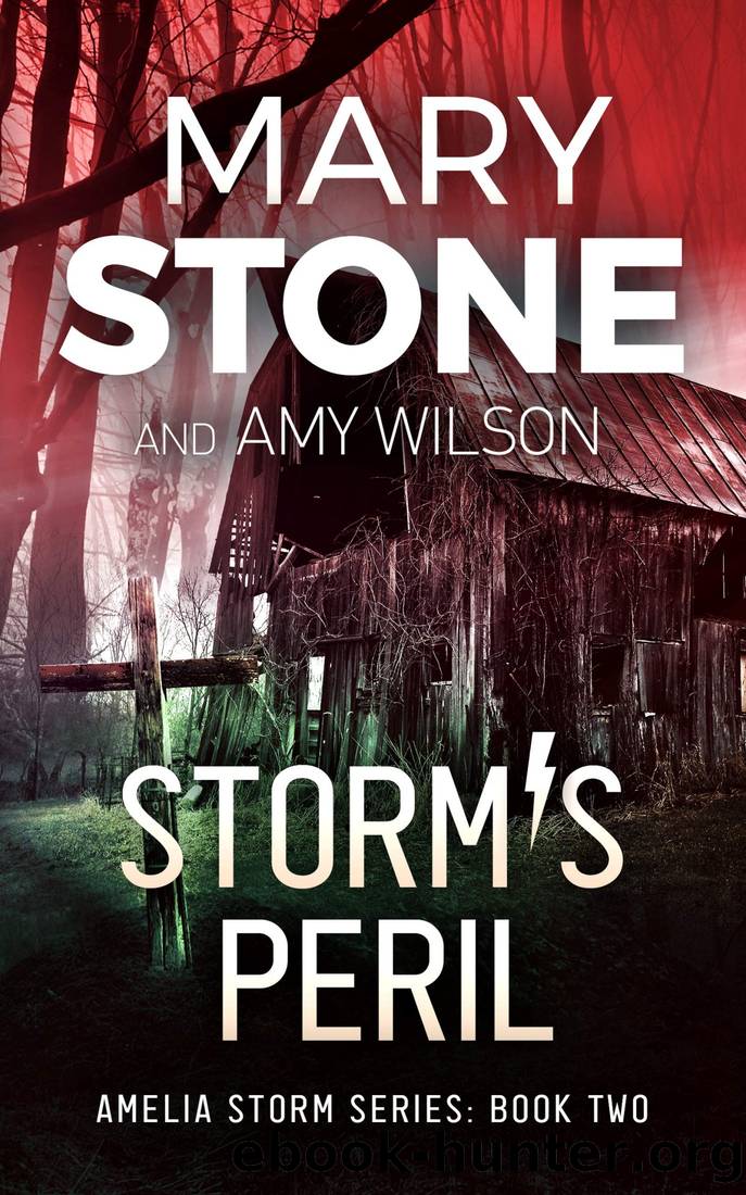 Storm's Peril by Stone Mary & Wilson Amy