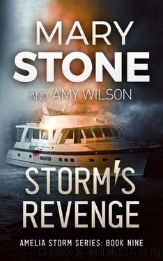 Storm's Revenge (Amelia Storm FBI Mystery Series Book 9) by Mary Stone