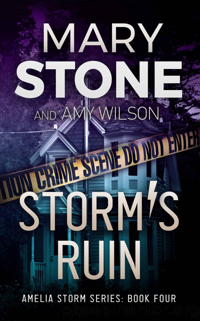 Storm's Ruin by Stone Mary & Wilson Amy