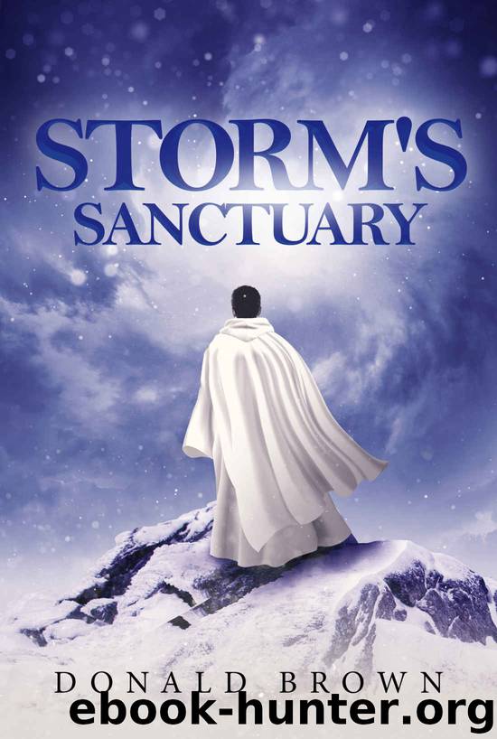 Storm's Sanctuary by Donald Brown