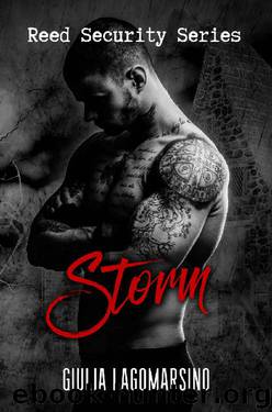Storm: A Reed Security Romance by Giulia Lagomarsino