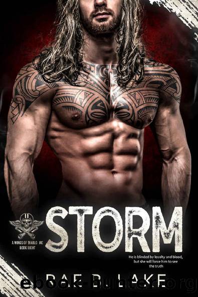 Storm: A Wings of Diablo MC Novel by Rae B. Lake