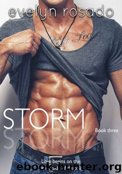 Storm: Book 3 by Evelyn Rosado