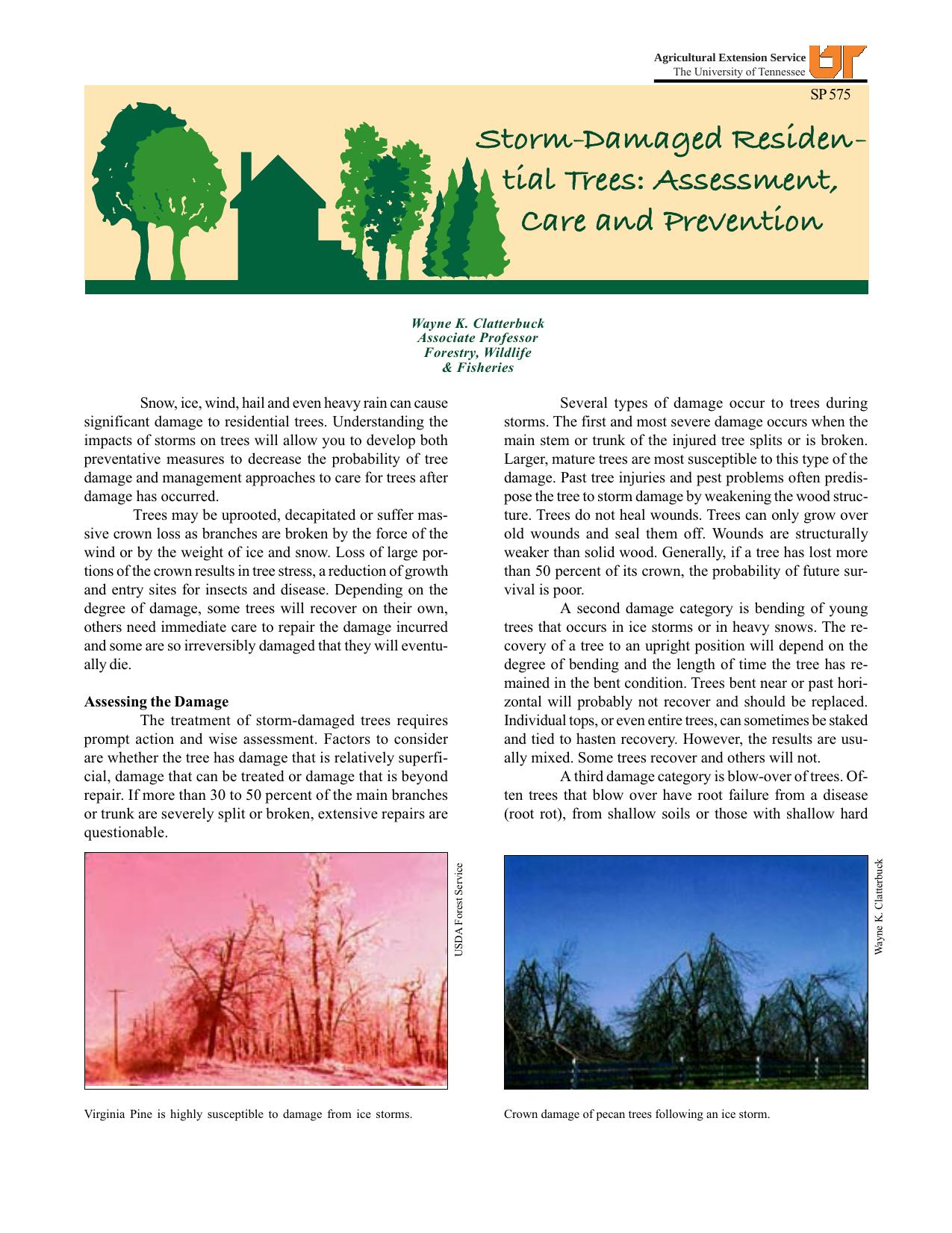 Storm-Damaged Residential Trees: Assessment, Care and Prevention by Wayne K. Clatterbuck