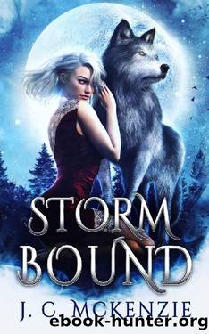 Stormbound by J. C. McKenzie
