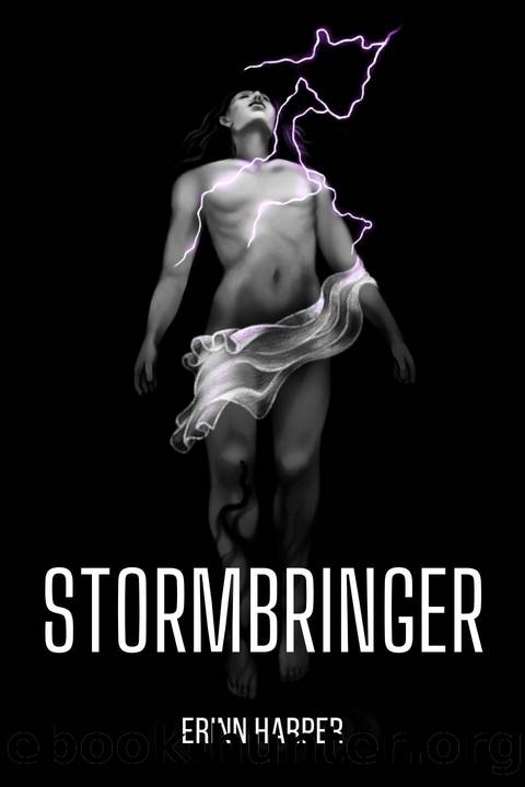 Stormbringer (Dreamwalker Book 1) by Erinn Harper