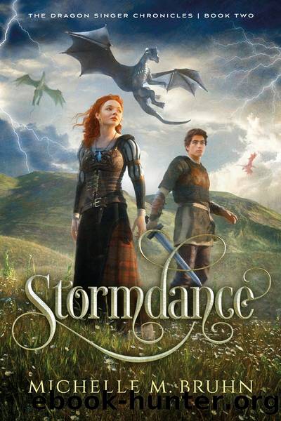Stormdance by Michelle M. Bruhn