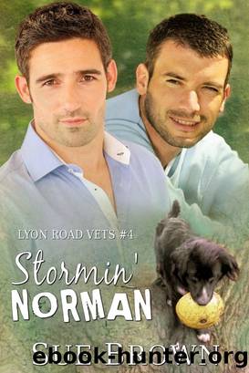 Stormin' Norman (Lyon Road Vets #4) by Sue Brown