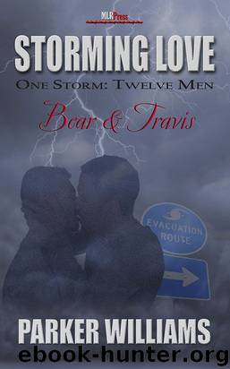 Storming Love: Bear & Travis by Parker Williams